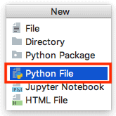 「Python File」