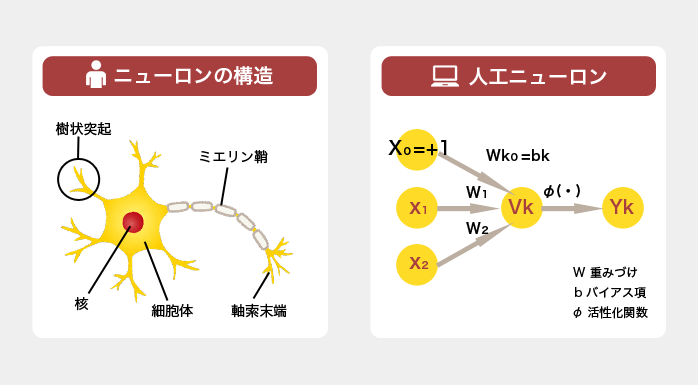 2026】ニューラルネットワークとは？重要な理由とその仕組みや分野別