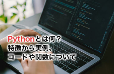 Pythonとは何？特徴から実例、コードや関数について徹底解説！