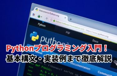 【2024】Pythonのプログラミング入門！基本構文・実装例まで徹底解説