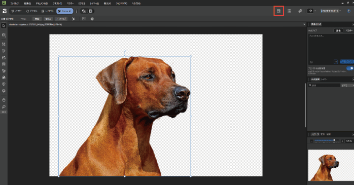 「背景を削除」アイコンをクリックする