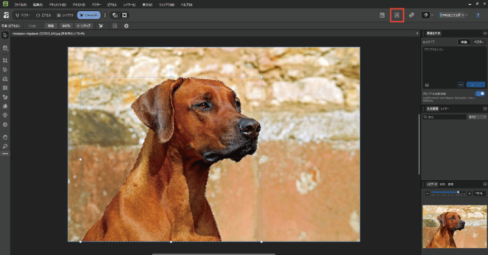 「主題を選択」アイコンをクリックする